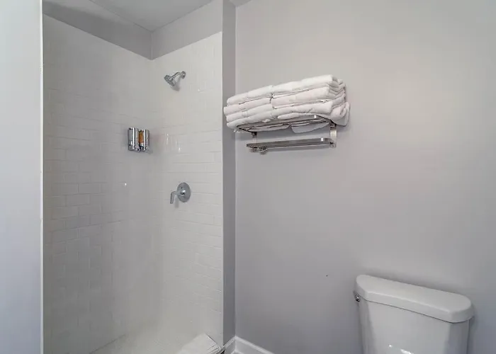 3 Flat Building Downtown - With Private Patios Apartment *