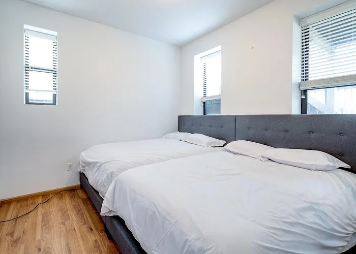 Apartment 3 Flat Building Downtown - With Private Patios *